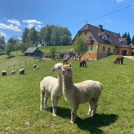 Biohof Kroisleitner Sankt Jakob im Walde Kültér fotó