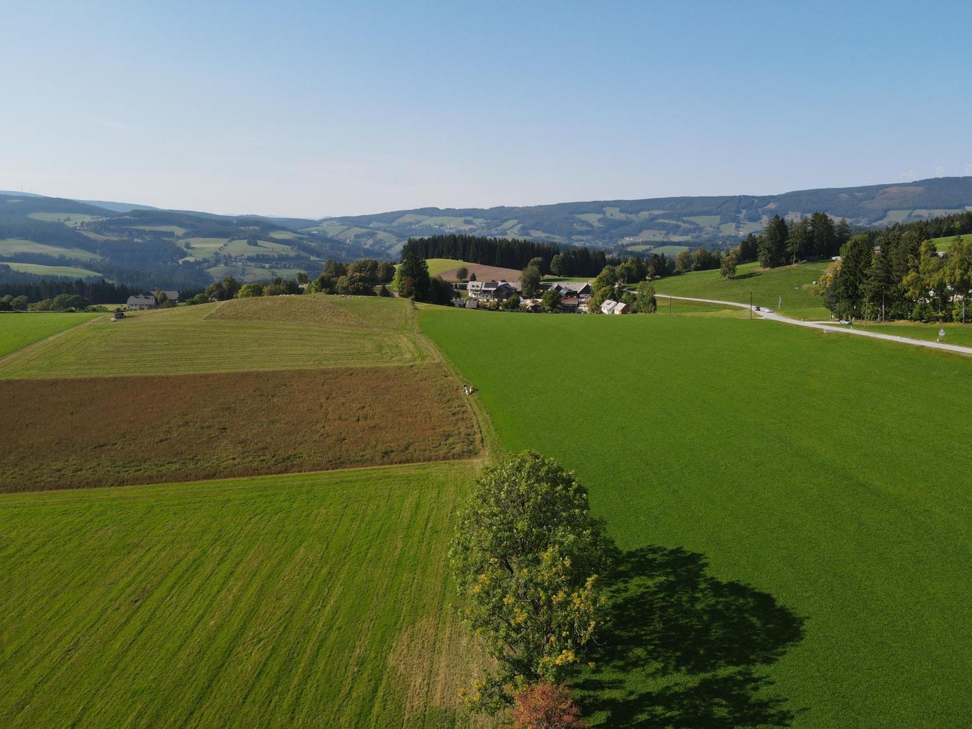 Biohof Kroisleitner Sankt Jakob im Walde Kültér fotó