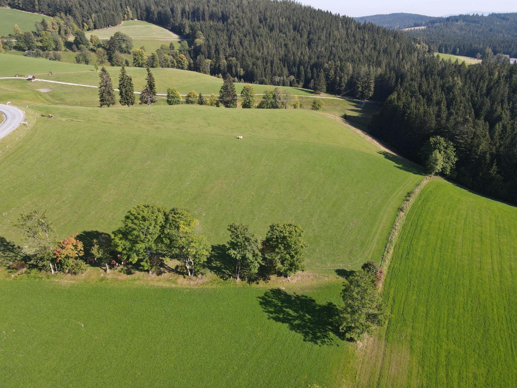 Biohof Kroisleitner Sankt Jakob im Walde Kültér fotó
