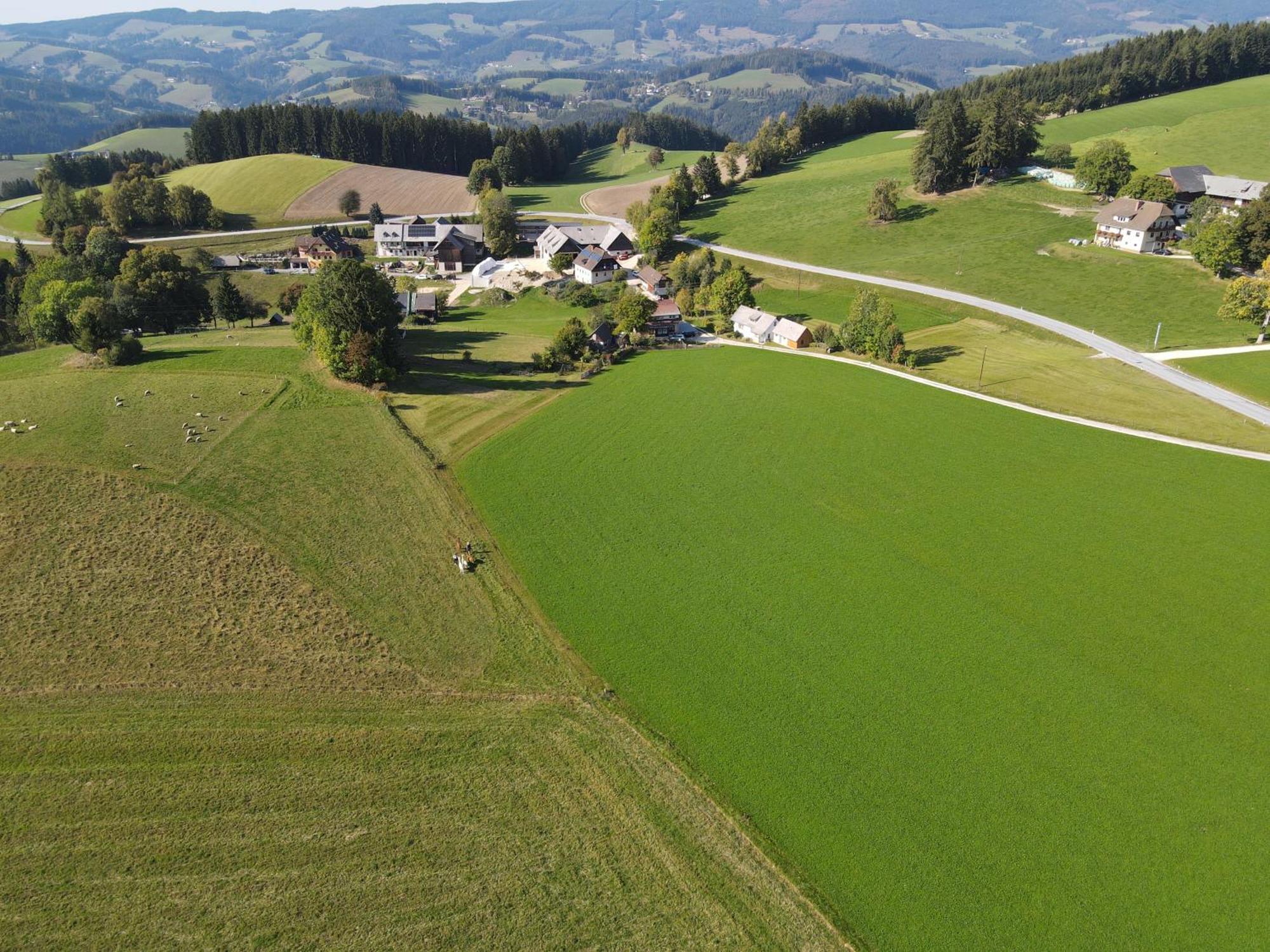 Biohof Kroisleitner Sankt Jakob im Walde Kültér fotó