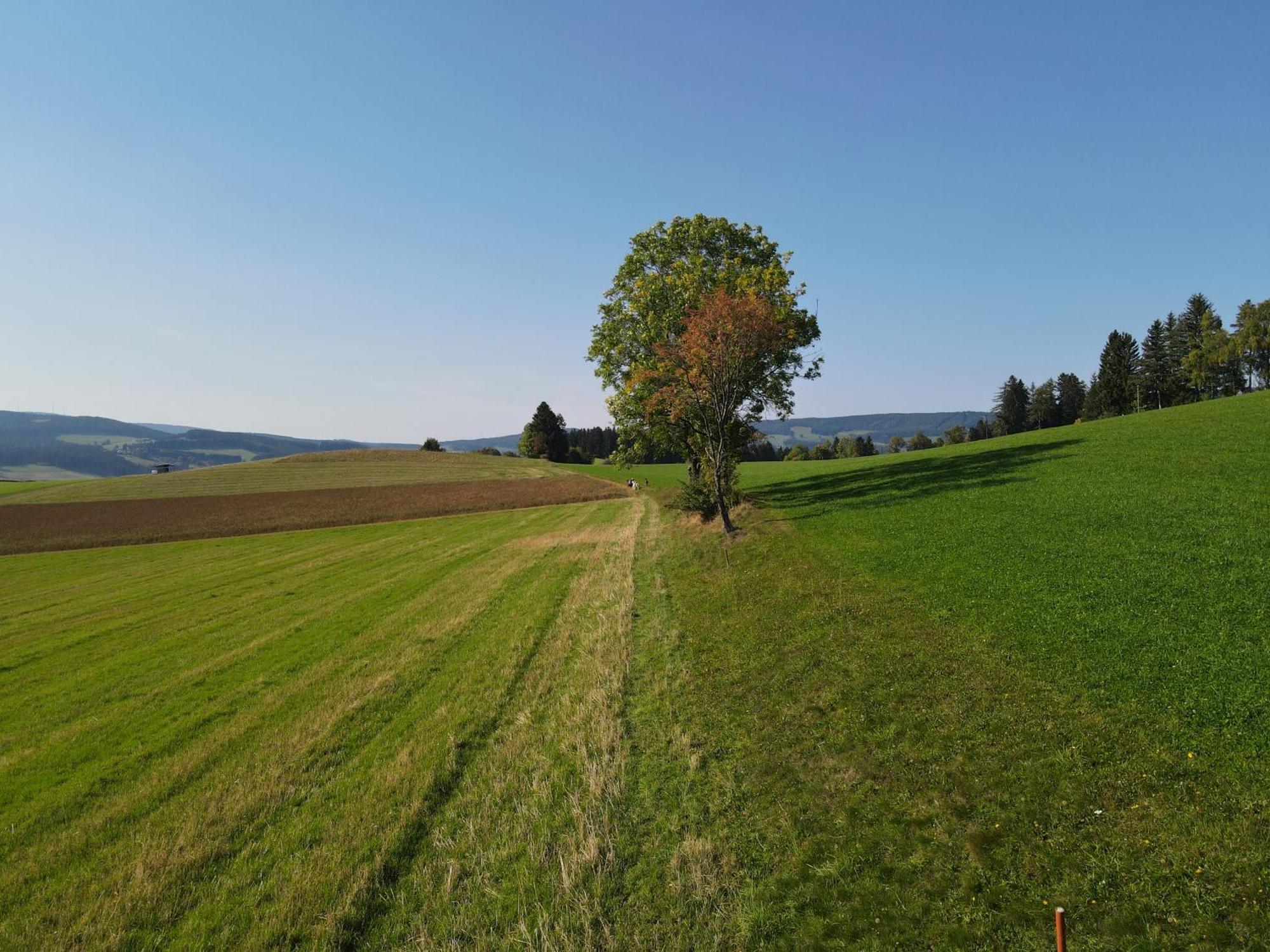 Biohof Kroisleitner Sankt Jakob im Walde Kültér fotó